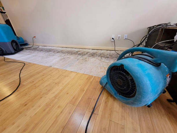 Professional Burst Pipe Water Damage technician working in Metaline Falls, WA